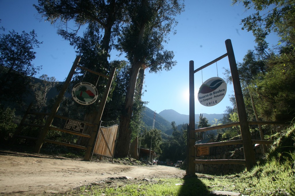 Parque Nacional La Campana Cumple 48 Años Epicentro Chile