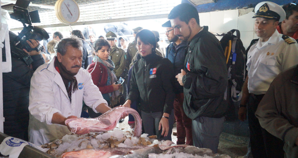 Autoridades fiscalizaron venta de pescados y mariscos en Caleta Portales -  Epicentro Chile
